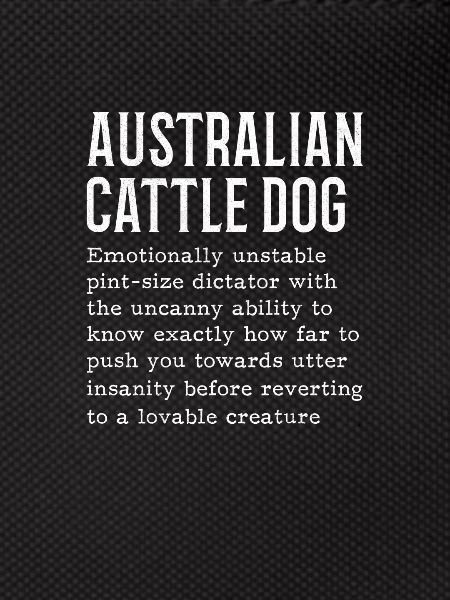 Bouvier australien