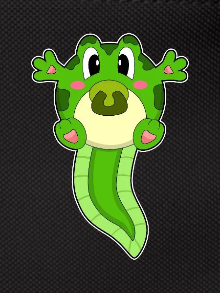Frog Baby Pacifier