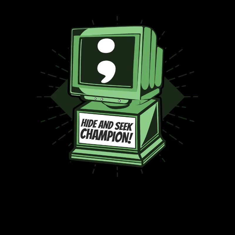 Hide And Seek Champion Softwareingenieur Coder