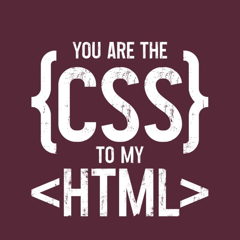 Vous êtes le CSS de mon HTML 3
