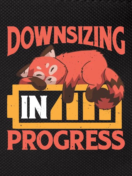 Downsizing In Progress 24