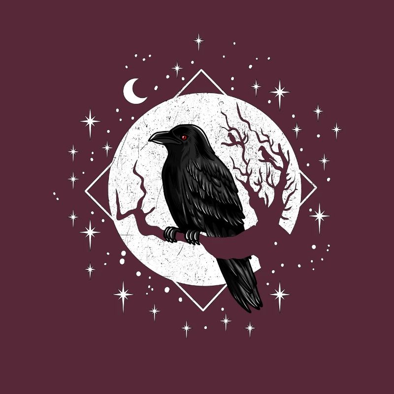 Raven Gothic Night Starry Sky Dark Shadow