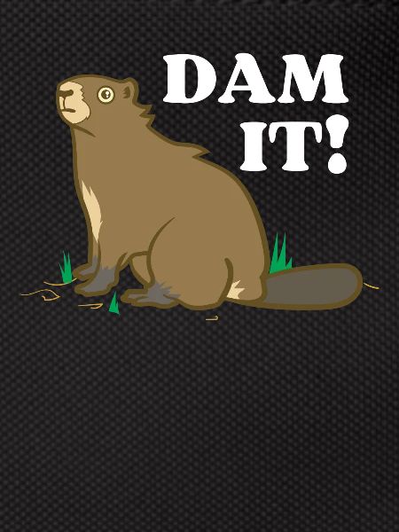Dam It