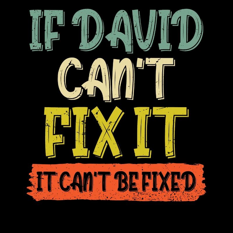 If David Can't Fix It It Can't Be Fixed