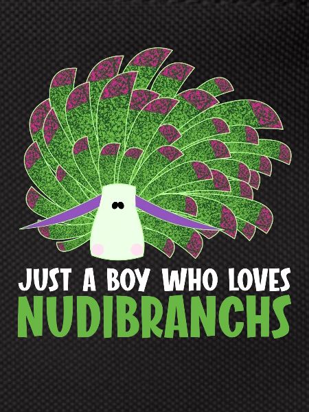 Nudibranches nudibranches