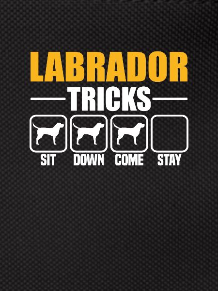 Labrador Tricks