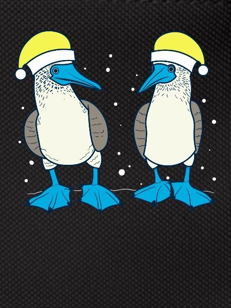 Blue-footed booby Christmas
