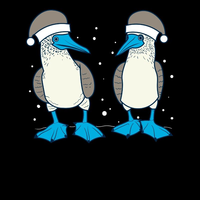 Fou à pieds bleus Noël