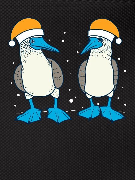 Blue-footed booby Christmas
