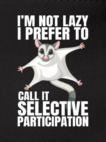 Sugar Glider Flying Squirrel