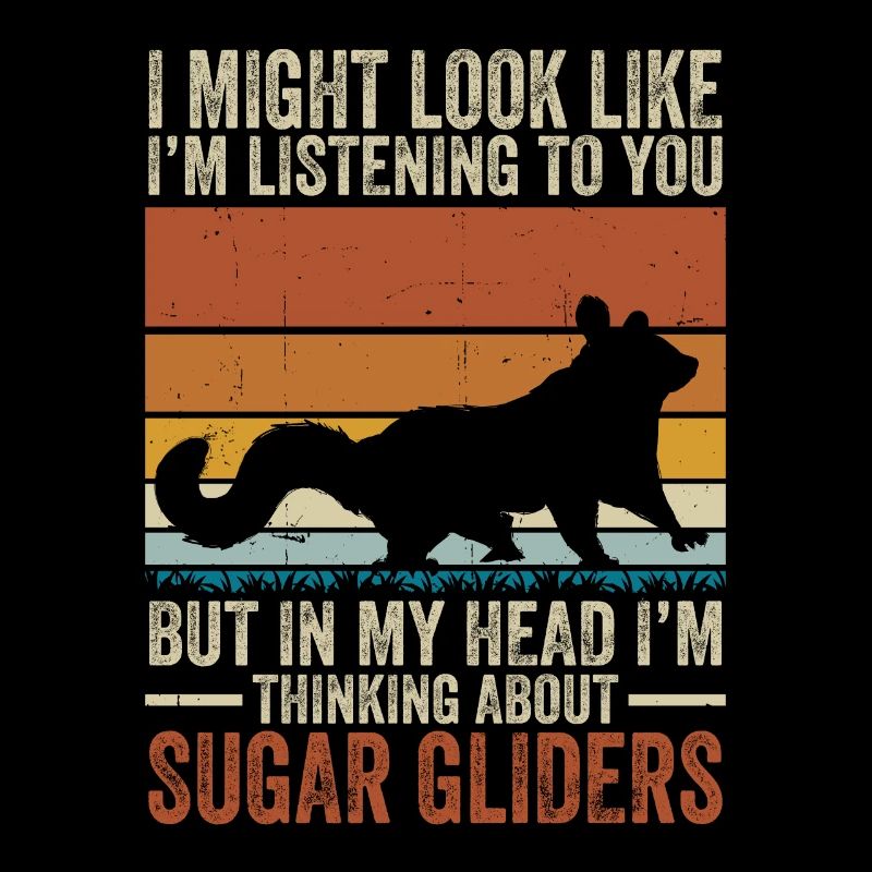 Sugar Glider Flughörnchen