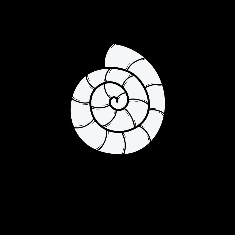 Snail Shell Spiral Snail