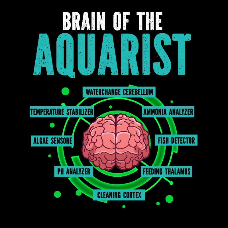 Aquarium Fish Gift