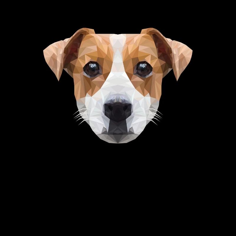 Polygon JRT Vierbeiner Hund Jack Russell Terrier