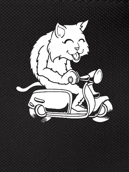 Scooter Cat