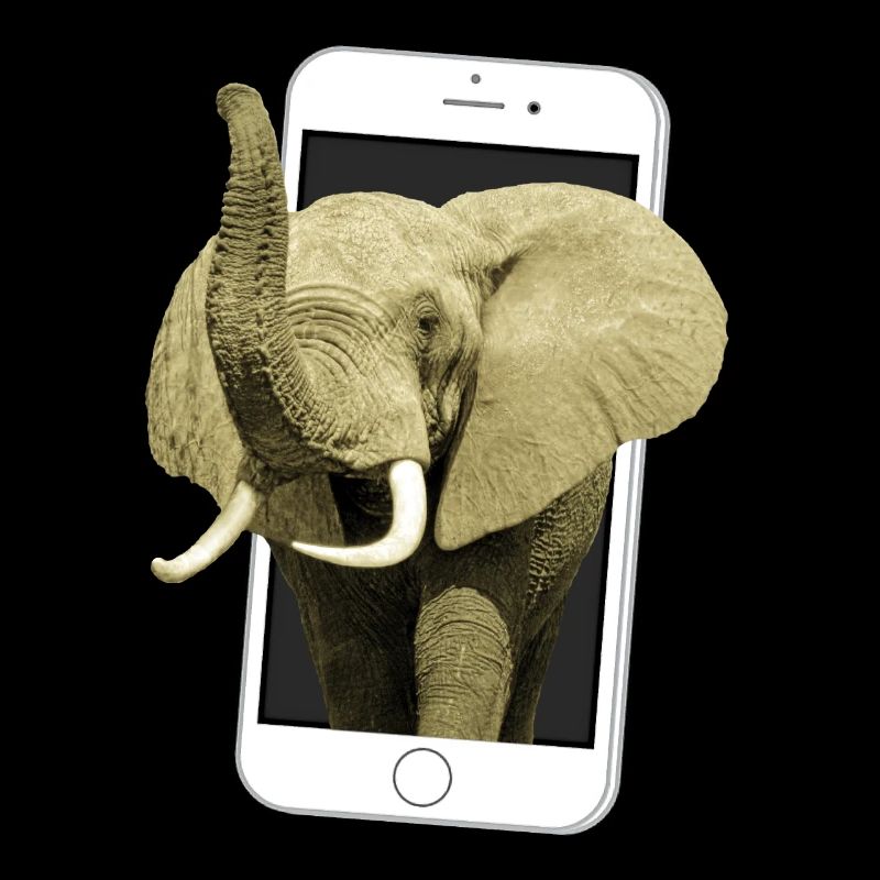 Smartphone with elephant - Elephant in Africa