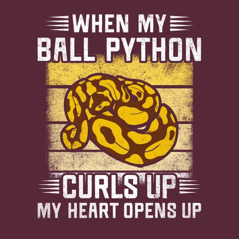 J’aime ma boule de banane Python King Python