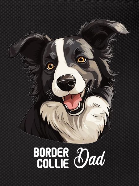 Dog Border Collie