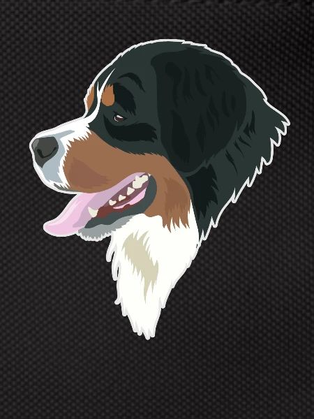 Bernese Mountain Dog Elegance