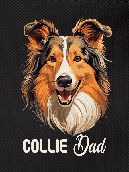 Dog Collie