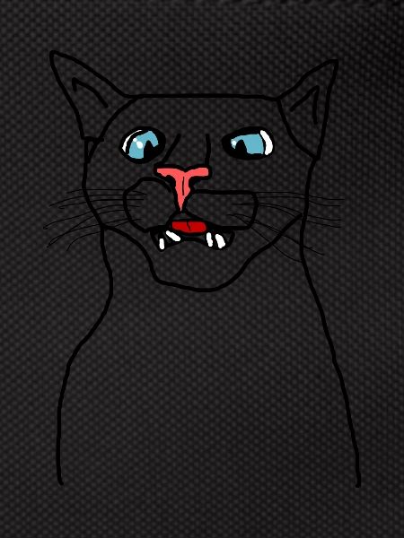 Katze
