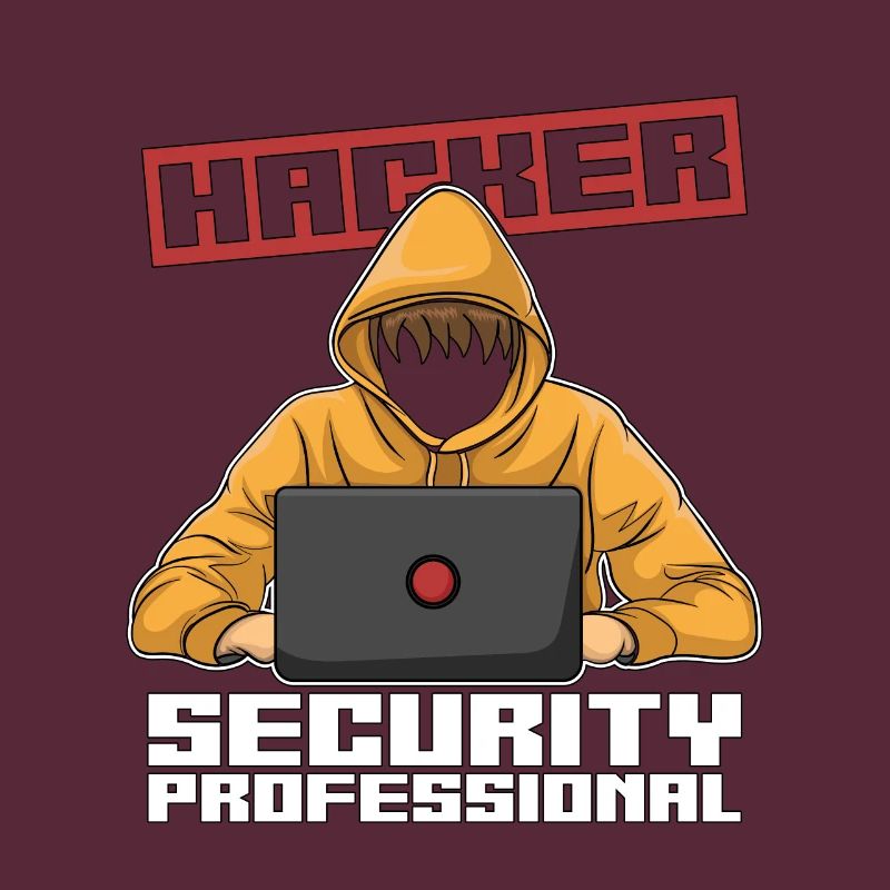 Cybersécurité Hacker Analyste professionnel de la sécurité