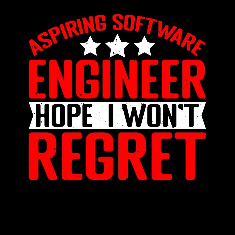 Aspiring Software Engineer, Hope I Won't Regret 2
