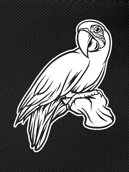 Parrot