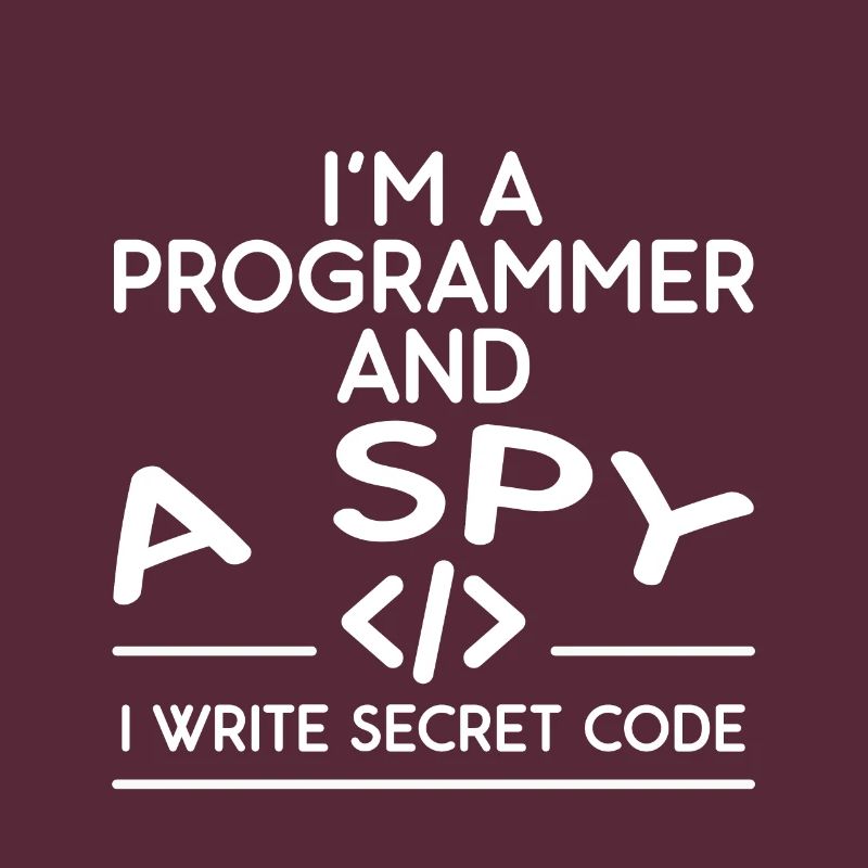 I'm A Programmer And A Spy, I Write Secret Code 4