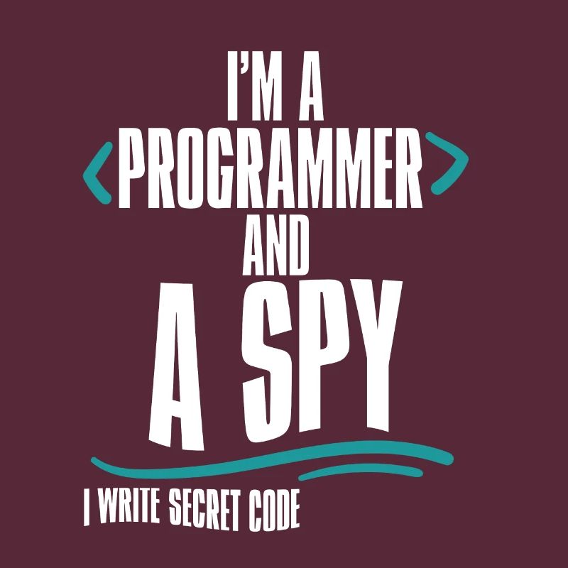 I'm A Programmer And A Spy, I Write Secret Code 2