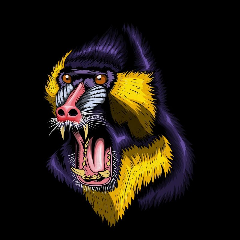 Affe Affengehege Mandrill Mandrillen Affengruppe