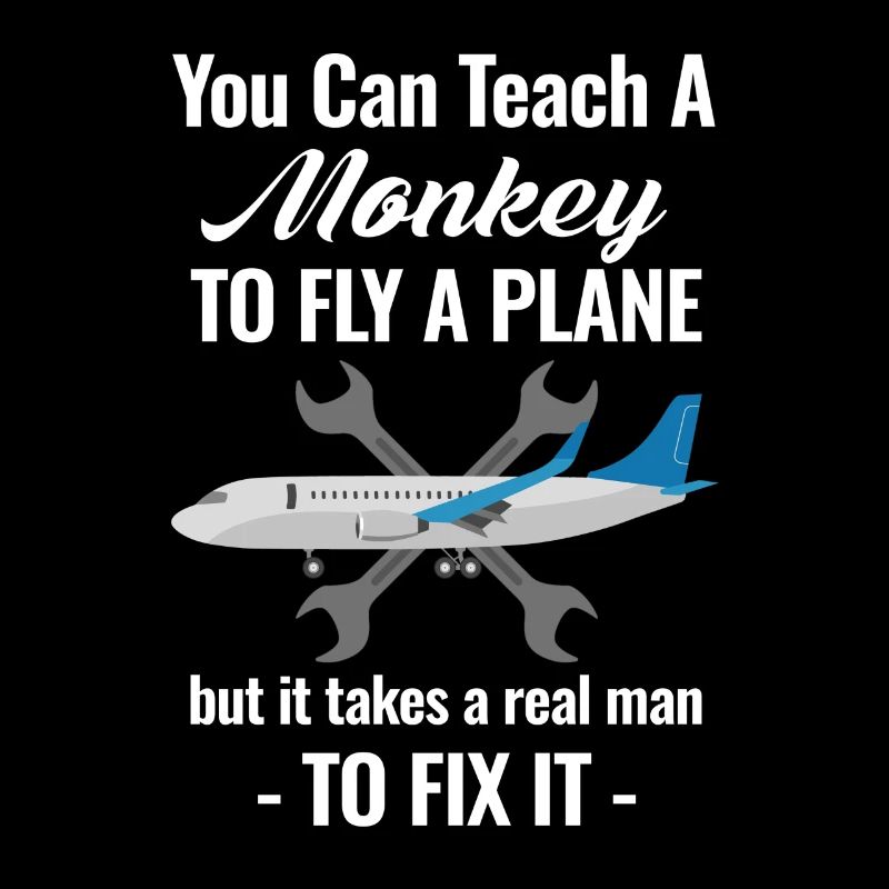 You can teach a monkey to fly an airplane