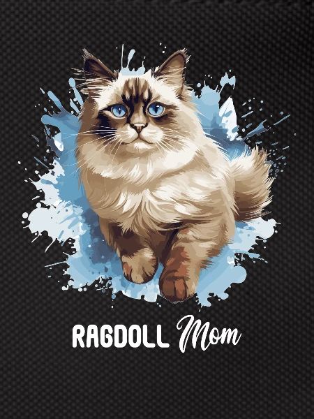 Ragdoll