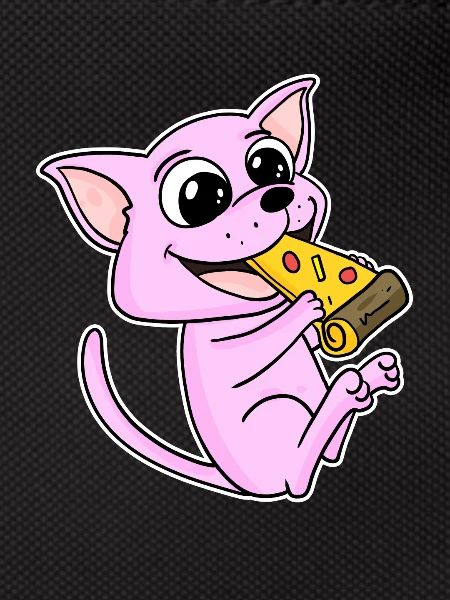 Sphynx Cat Pizza