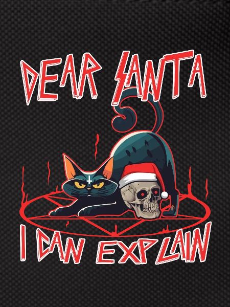Dear santa i can explain
