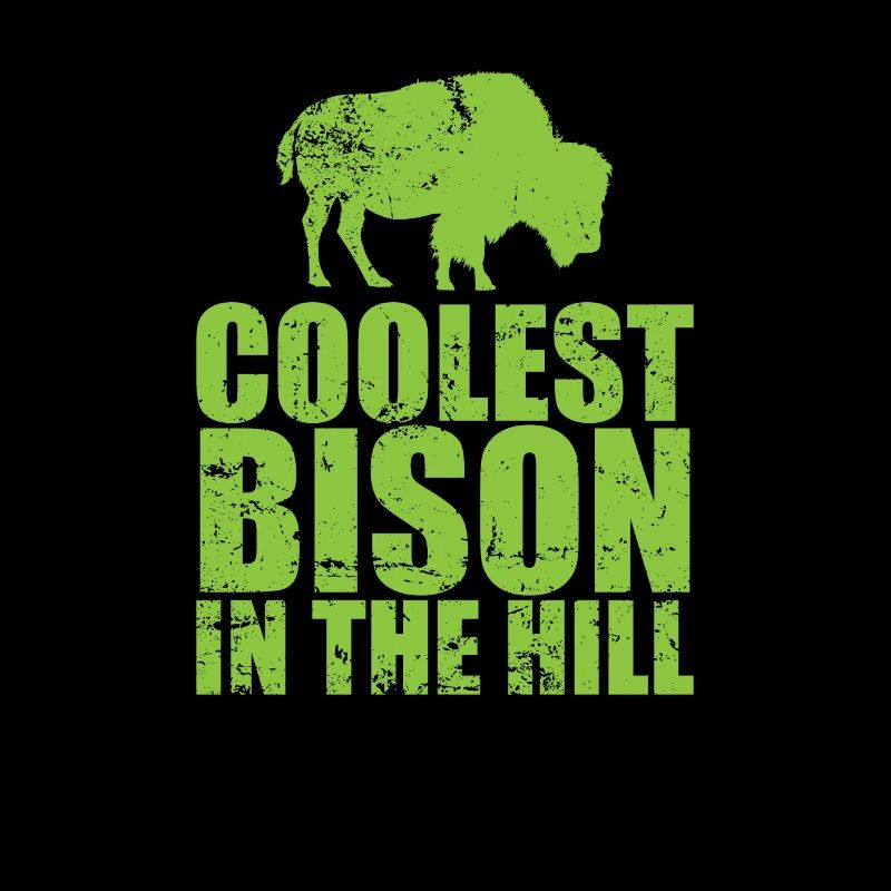 Bison cool dans la colline Animal