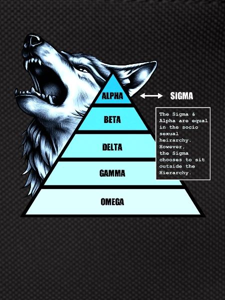 Socio-Sexual Hierarchy Pyramid