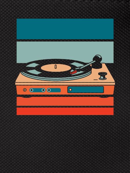 Collectionneur de disques vinyles