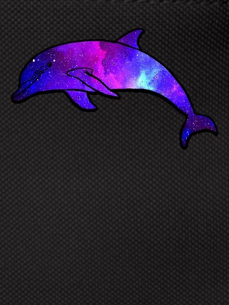 Galaxie de l’espace Dolphin