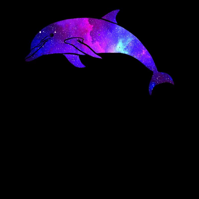 Galaxie de l’espace Dolphin