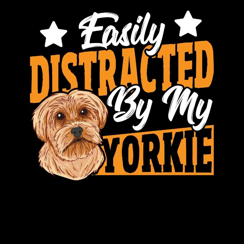 Facilement distrait par mon Yorkie Yorkshire