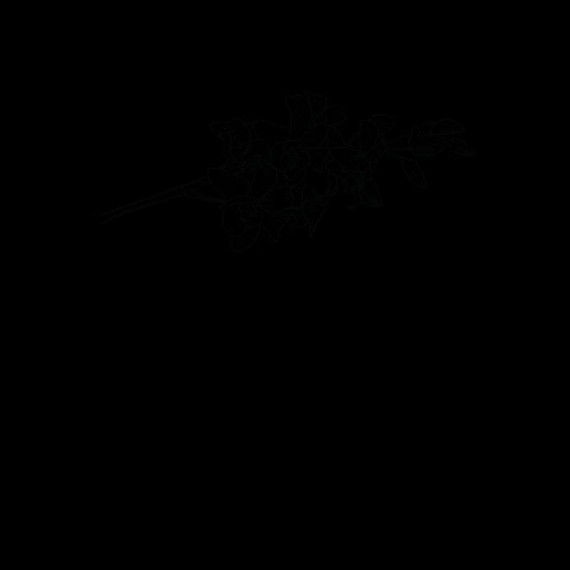 Orchidee Blüte Blume Duft