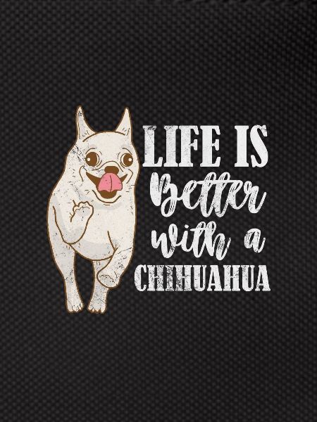 Chihuahua