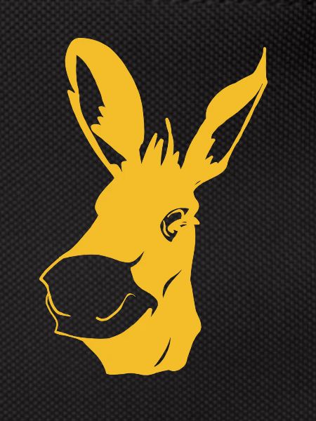 Donkey