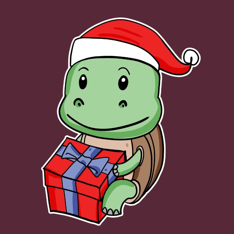 Turtle with Christmas hat