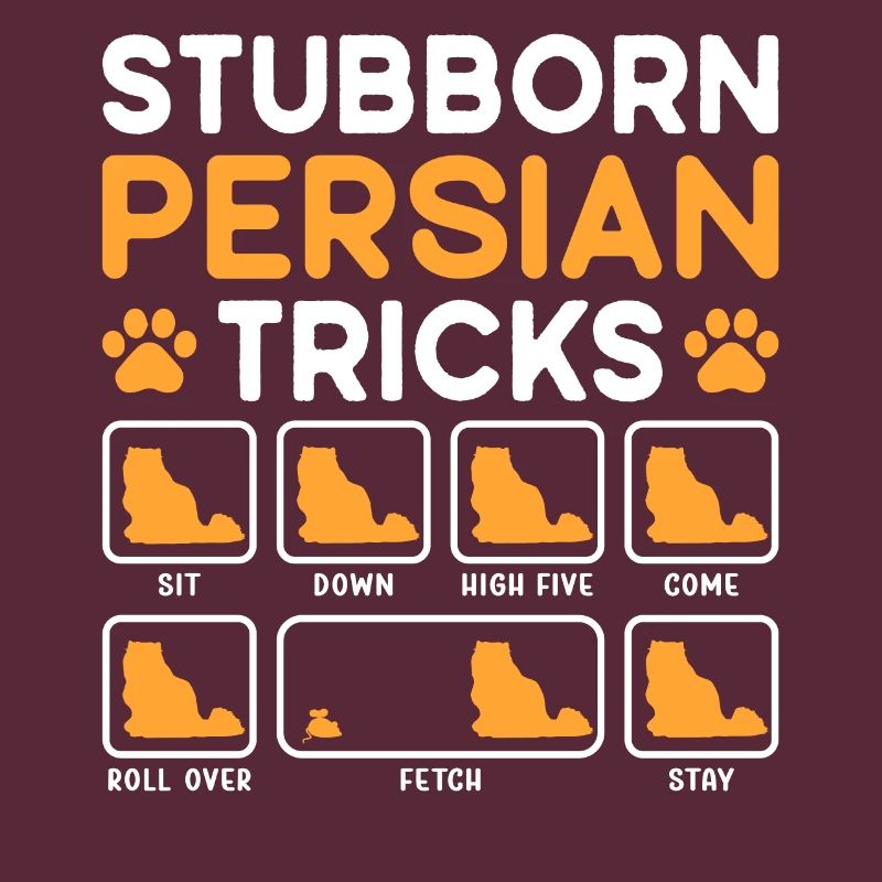 Tricks têtus Chat persan