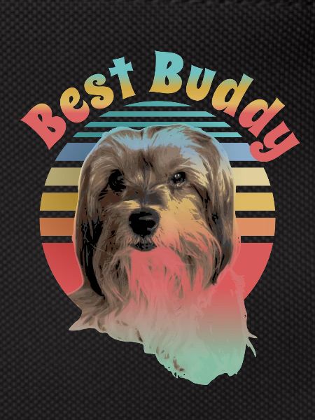 Biewer Terrier, best friend