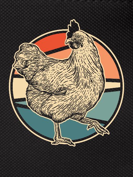 Chicken Hen