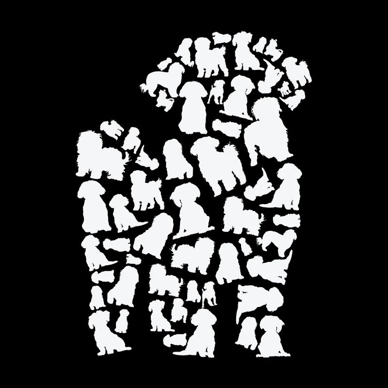 Caniche Chien Maman Caniche Papa