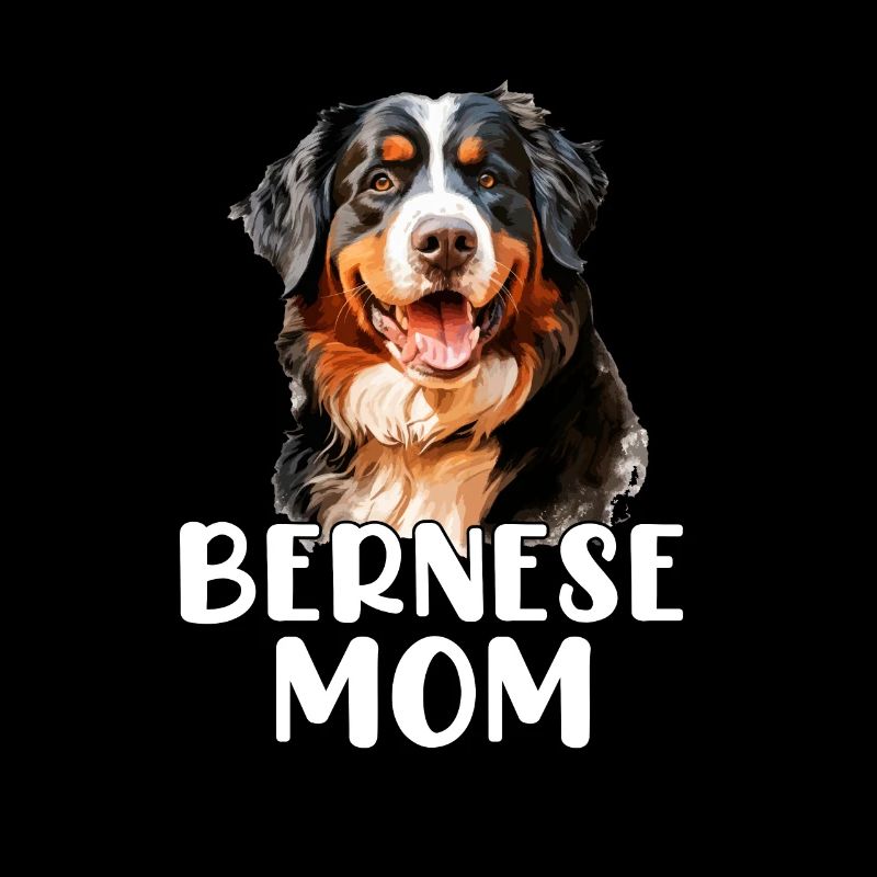 bernese mountain dog
